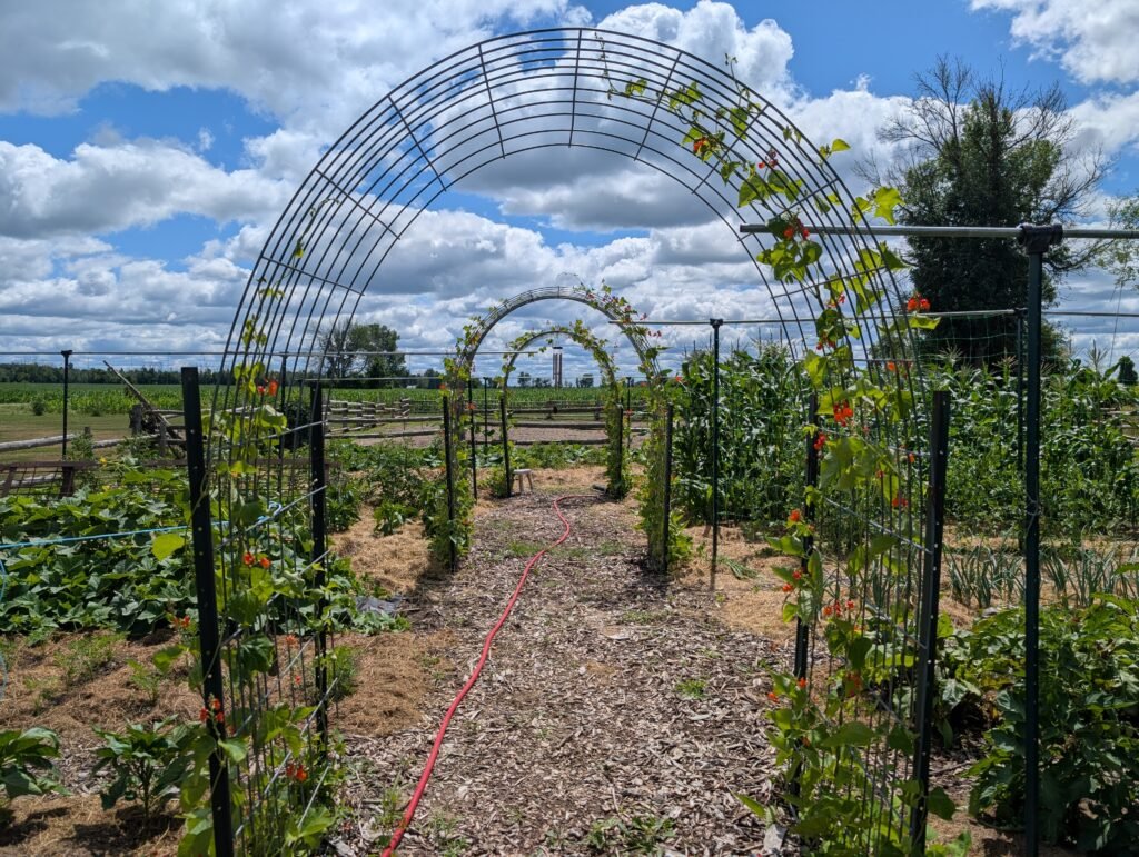 lessons from the garden