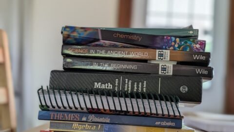 curriculum planning