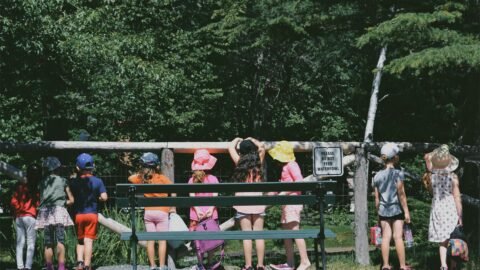 homeschool socialization