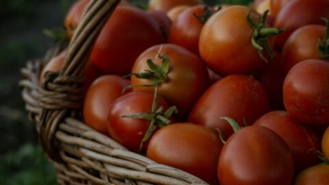 overwhelmed by harvest