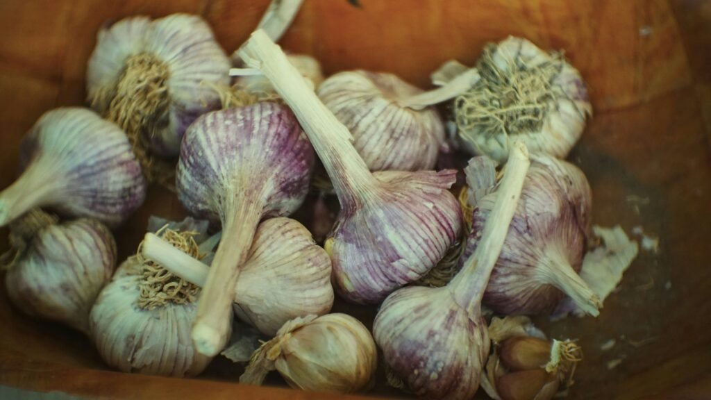 how to prepare the Garden for Winter on the homestead