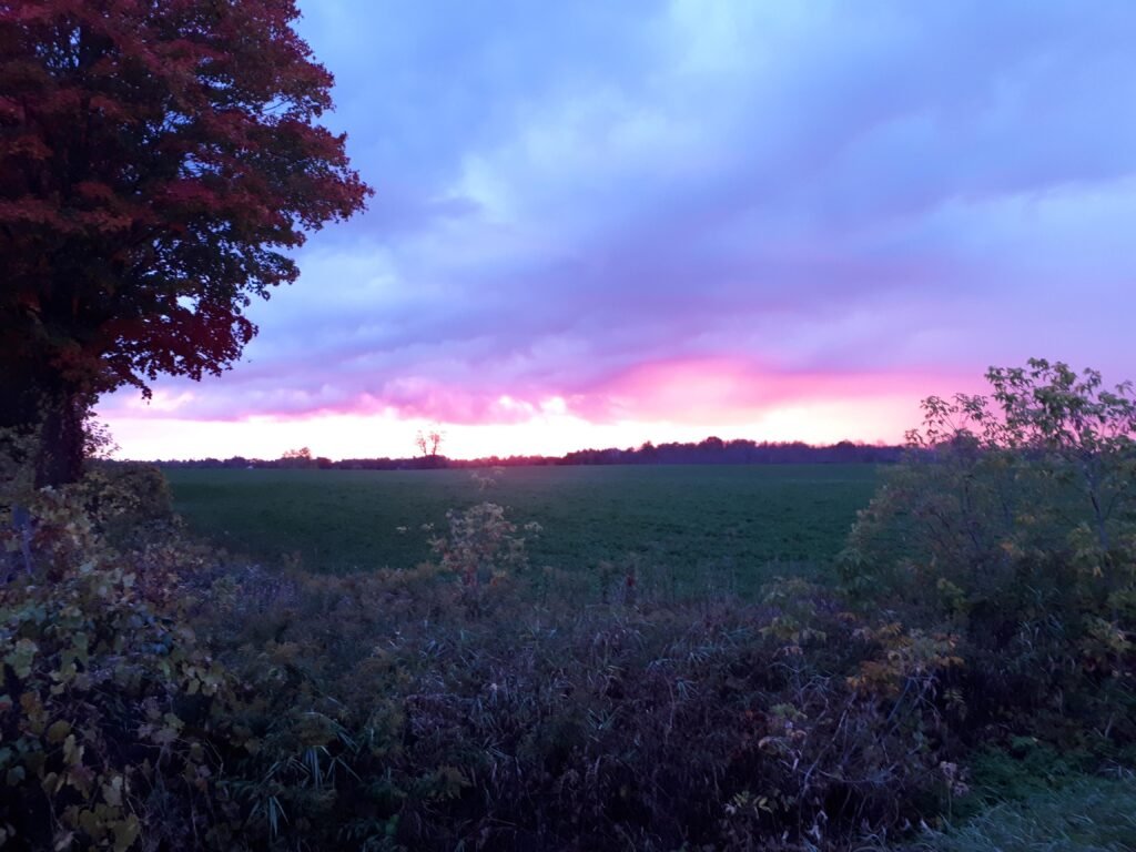 Marriage When Opposites Attract