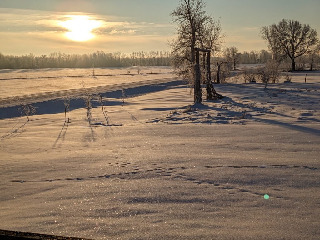 Finding Peace in Spiritual Winter