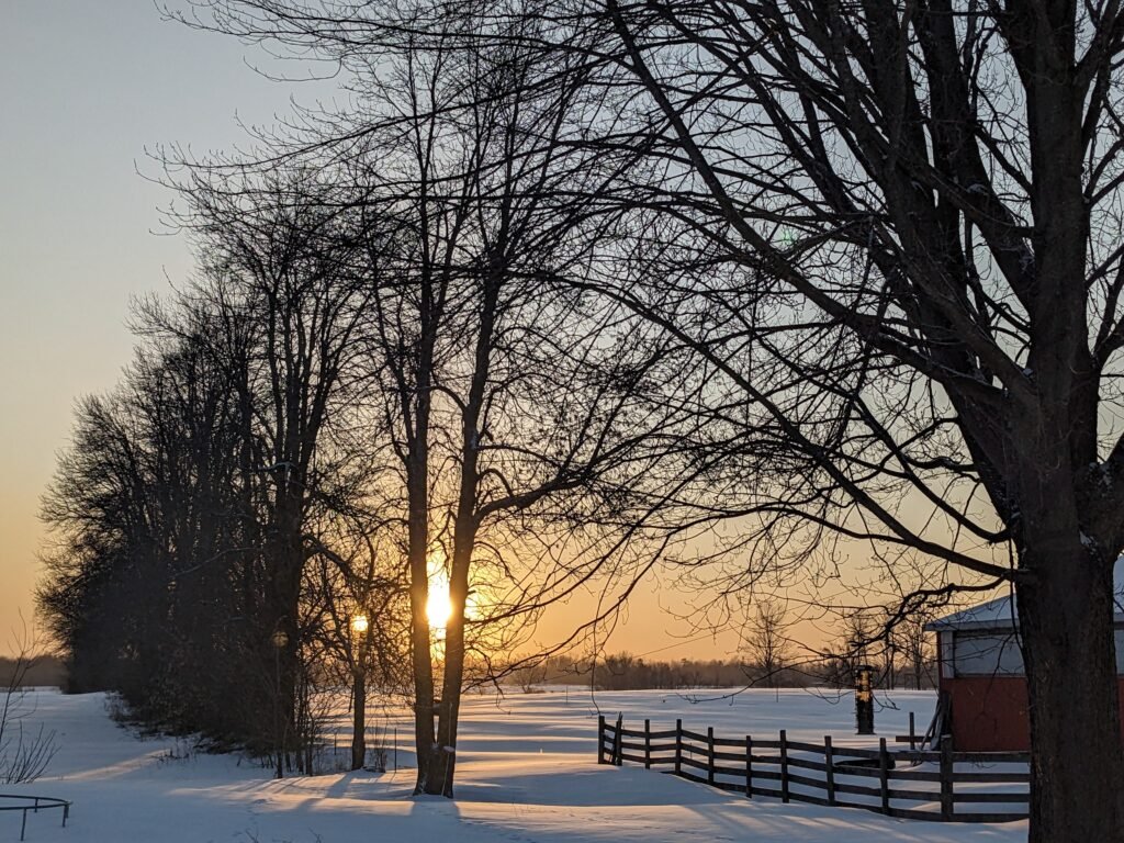Finding Peace in Spiritual Winter