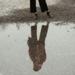 tian New Year Reflections