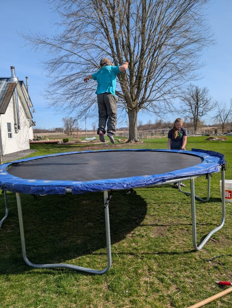 homeschool motivation struggles and daily routines