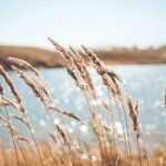 ordinary obedience in the Bible illustrated through quiet faithfulness