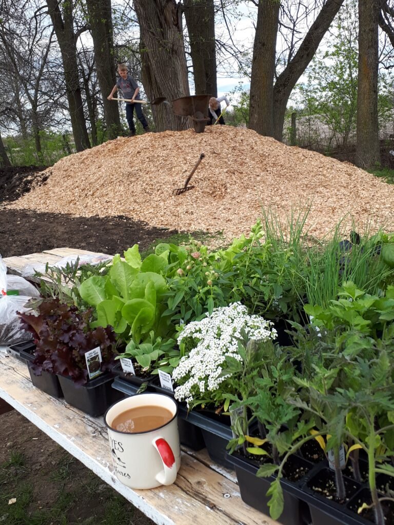 Winter gardening in Canada