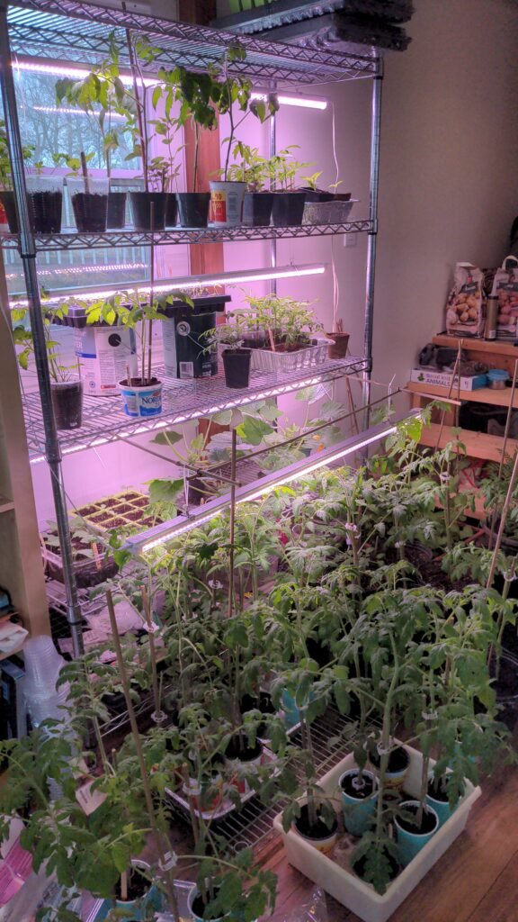 Winter gardening in Canada