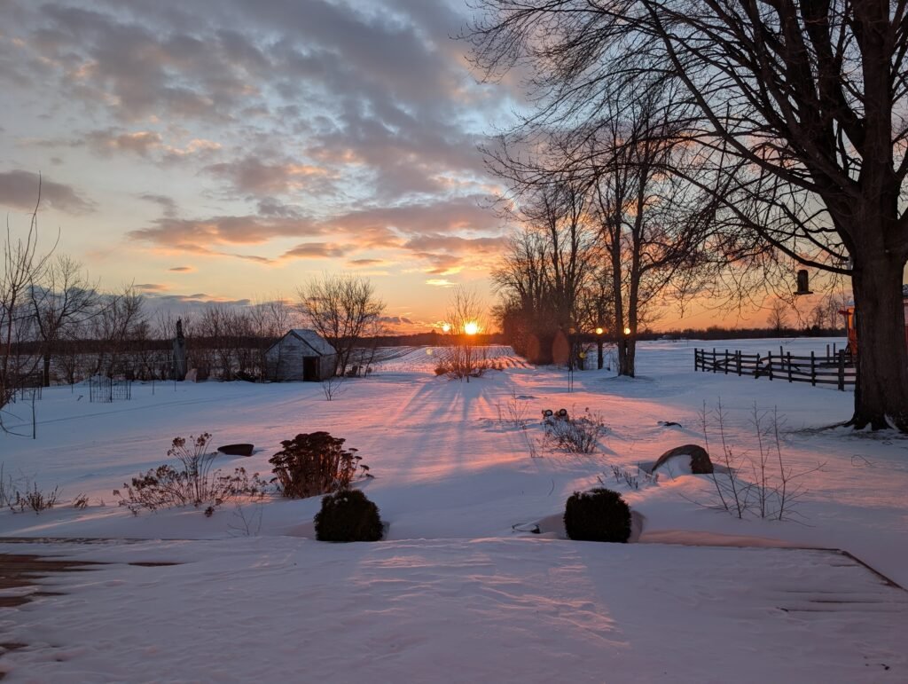 Winter gardening in Canada