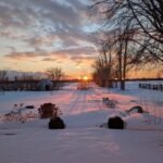 Winter gardening in Canada