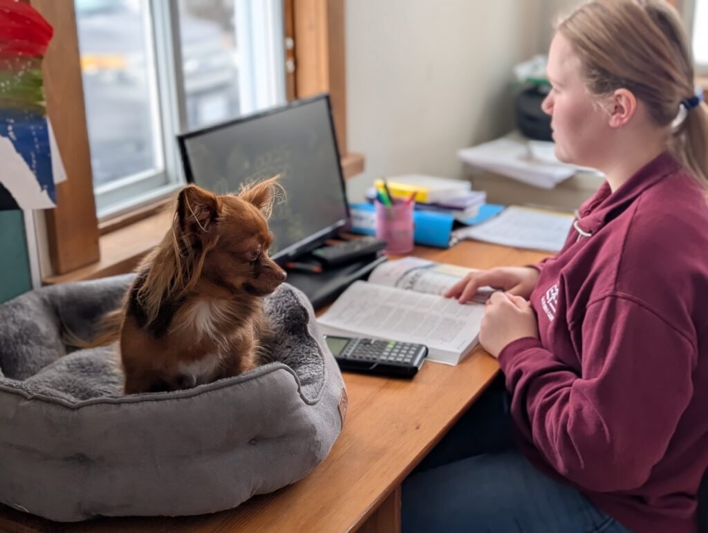 homeschool kids review