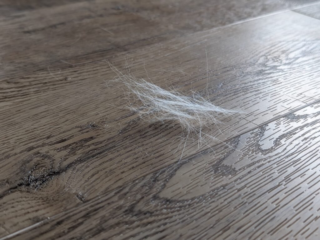 How to Have a Clean Heart: Lessons from Husky Shedding Season