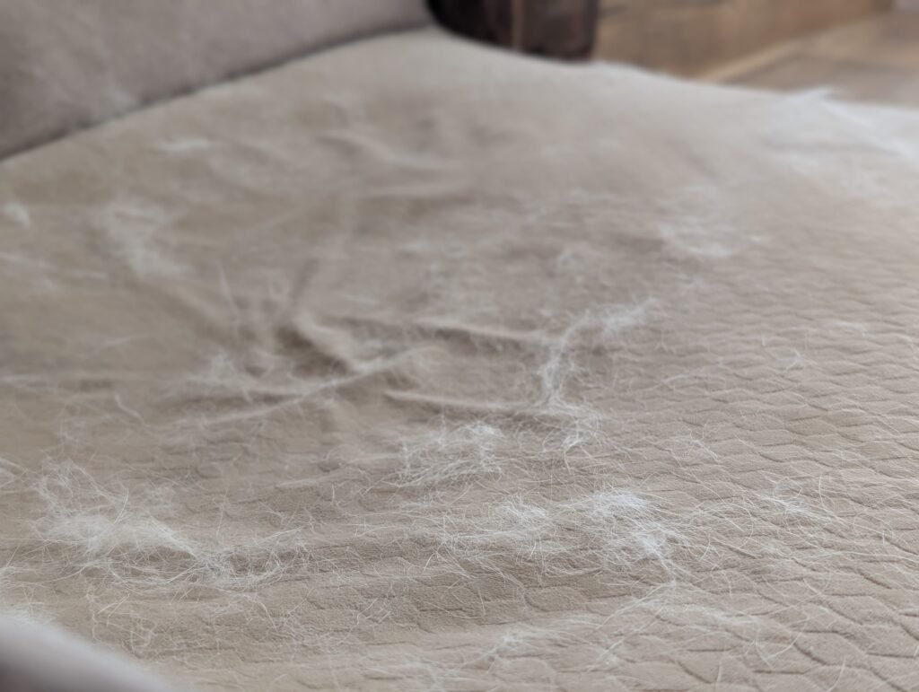 How to Have a Clean Heart: Lessons from Husky Shedding Season