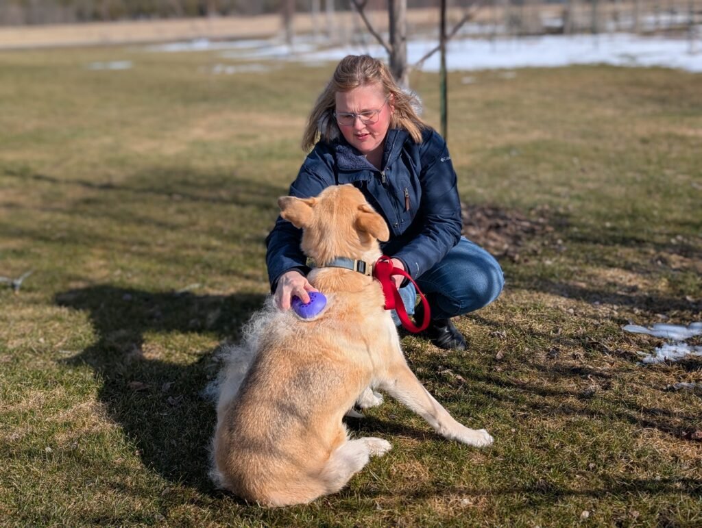 How to Have a Clean Heart: Lessons from Husky Shedding Season