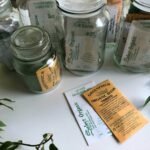 beginner gardening tips soil preparation