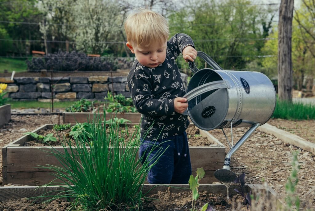 beginner gardening tips soil preparation